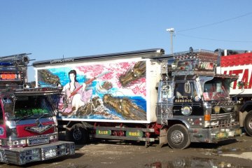 <p>From cargo to dump trucks</p>