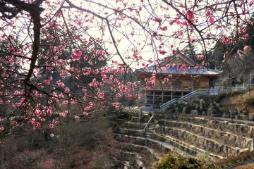 <p>A temple building stands at the top of a terraced hillside</p>