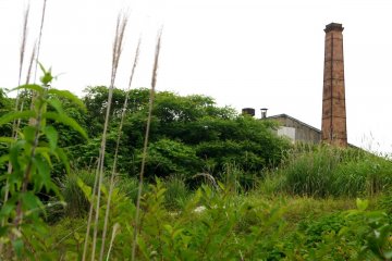 <p>Tall chimney rising from the vegetation</p>