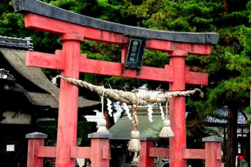 <p>Une corde d'ornement suspendue au torii dans le parc du sanctuaire</p>