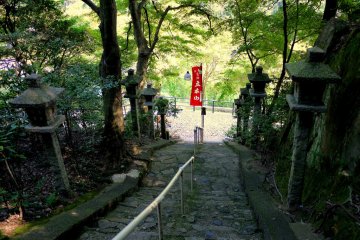<p>Bright summer sunlight at the path entrance</p>
