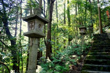 <p>There were many stone lanterns beside the steps</p>
