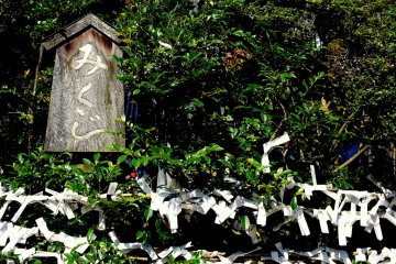 <p>Omikuji papers tell visitor's fortunes</p>