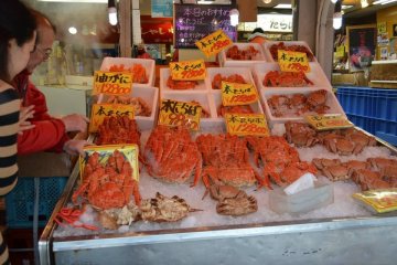 ลุยตลาดอาหารทะเลสดๆ Nijo Ichiba 