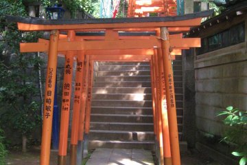 Corridor of torii leading to Gojo Shrine