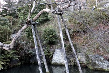 <p>The temple building above a pond</p>