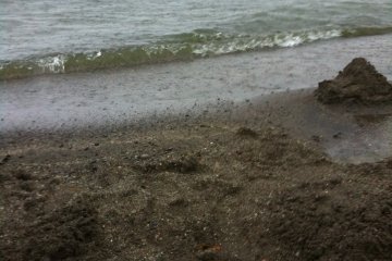 We dug dug dug, but the warm water underground cannot compete with the non-stop cool rain

