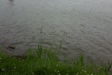 A rainy day can still give you a romantic view

