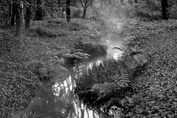<p>Fog rising off a stream just outside the shrine</p>