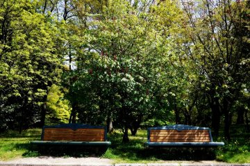 <p>Seats invite strollers to take a rest</p>