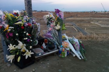 <p>Flowers left on top of the hill in hopes of peace for those that are no longer here. In the background where houses once stood: nothing.&nbsp;</p>