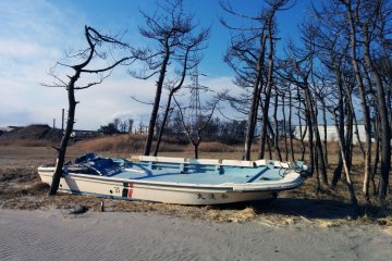 <p>A fishing boat left where it lay in Gamo. This is about two kilometers or a little over one mile from the ocean. Trees slowly die from the now salty soil.&nbsp;</p>
