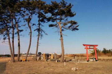 <p>A shrine once stood here. After the disaster people made sure a quick substitute was constructed. The trees that survived are a symbol of strength for the people.</p>