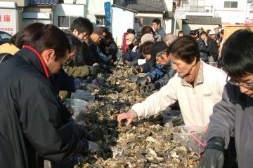Oyster weekend market