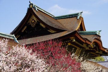 교토 기타노텐만구