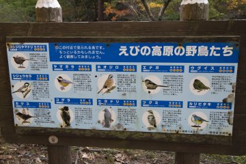 Avian visitors identified here; the best place for birdwatching is near Rokukannon Pond