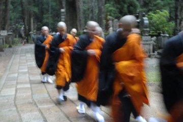 Koyasan Temple Lodging