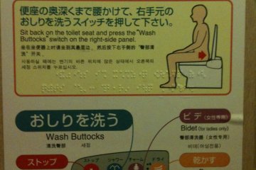 Don't count on this, but in very rare places you can find detailed multilingual instructions inside the restroom.&nbsp;