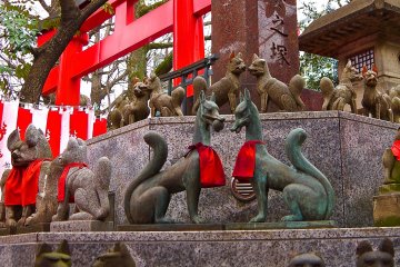 <p>Foxes on the octagonal stone stage</p>