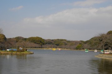 The secret hanami spot...Enjoy!