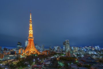 <p>This is the type of view you can see from the Tokyo Tower side.</p>