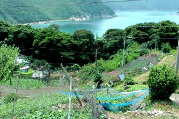 L'ilot vu du haut d'une colline. Tellement idyllique!