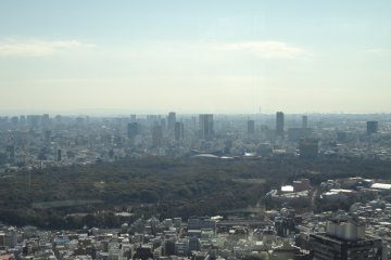 View of Yoyogi Park...and beyond.