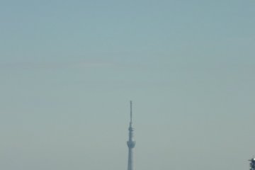 View of the new Sky Needle...and beyond.