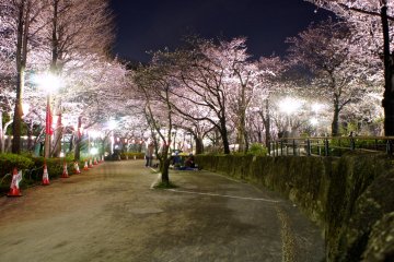 <p>Some picnickers are still around,&nbsp;enjoying the beautiful views of the blossoms, or course using the usual blue plastic mat.</p>