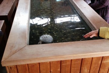 <p>The bath can accommodate several people.&nbsp;</p>