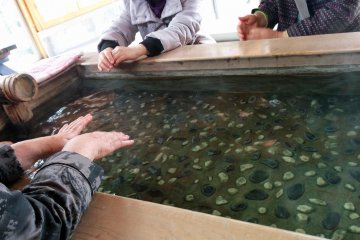 Yumeguri Kairo Hand Bath