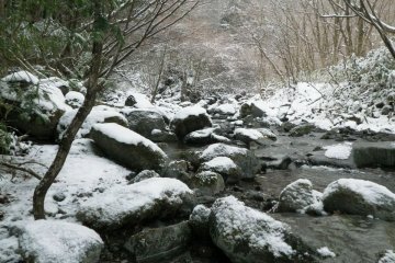 snow covered trail