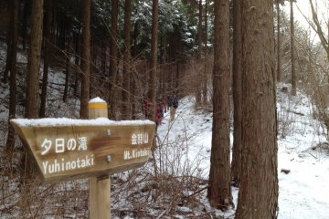 Two paths diverged in a yellow wood?