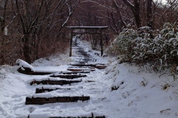 Torii (鳥居)
