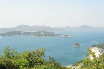View from up high