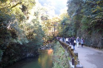Relaxing walk by the stream