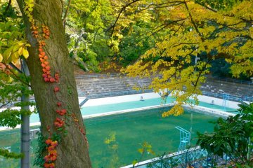In 1930, local organizations built this pool using spring water from the old Gerard Factory