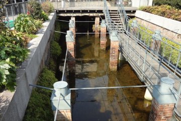 The pond is divided into sections by old red bricks.