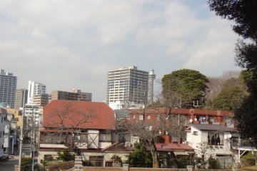 The park seen from above.