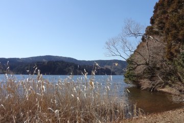 Walking along the west edge of the peninsula, you can see Ashinoko Lake on the left, you will sometimes find deep blue water between the woods, and Mt. Fuji shows her head over the closer mountains.