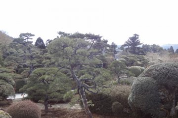When you climb up the hill, the woods changes from natural trees to well-trimmed trees. This area is a garden and the former location of the Imperial villa main house.
