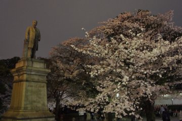Yajiro Shinagawa, an ex-samurai from the Meiji-era. His stern look and the delicate flowers are a somewhat interesting combination.