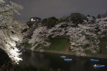 The water front of&nbsp;Chidorigafuchi&nbsp;with couples in rowing boats. A stereotypical tourism poster style shot, but believe me the experience is worth it. No regrets!