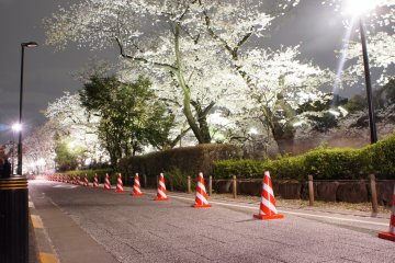 On the way back I took a silent byway to avoid the crowds; peaceful and pleasant&mdash;that's what the cherry blossom experience to me is all about.