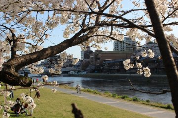 A Walk Along Kyoto's Kamogawa River