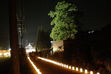 The low torches along the roads in the area