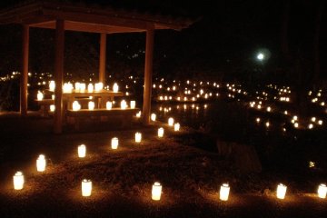 lights around the pond dedicated to breast milk weening mothers