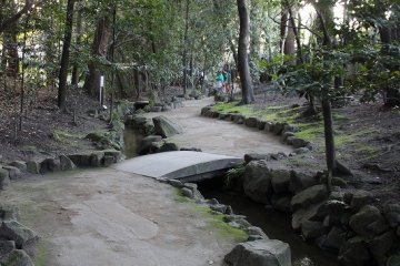 The curves in the garden path are a beautiful sight to see
