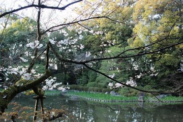 These gardens, designated as a national scenic spot, were designed by the famous Meiji-period master gardener Ogawa Jihei