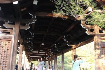The bridge over Seihou Pond, called Taiheikaku Bridge, was relocated from the imperial palace